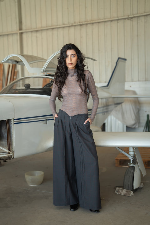Beatle Ceroglossus Gris